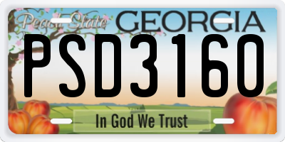 GA license plate PSD3160