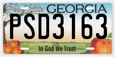 GA license plate PSD3163