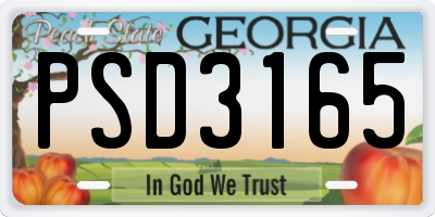 GA license plate PSD3165