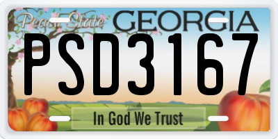 GA license plate PSD3167