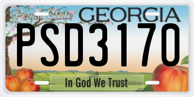 GA license plate PSD3170