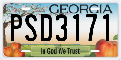 GA license plate PSD3171