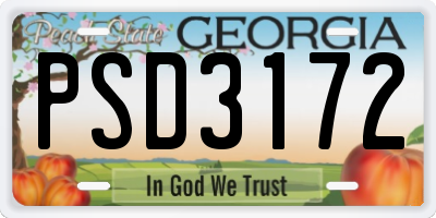 GA license plate PSD3172