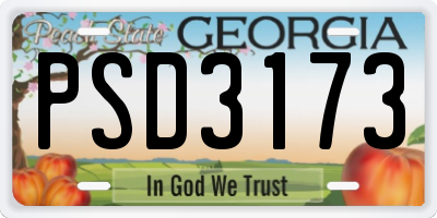 GA license plate PSD3173