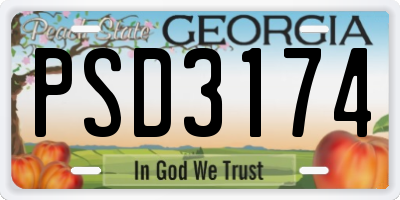 GA license plate PSD3174