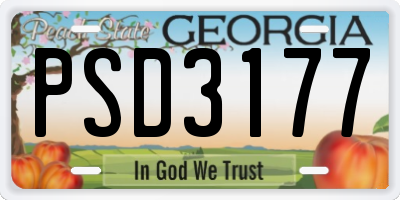 GA license plate PSD3177