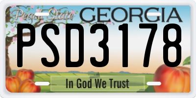 GA license plate PSD3178
