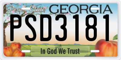 GA license plate PSD3181