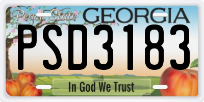 GA license plate PSD3183