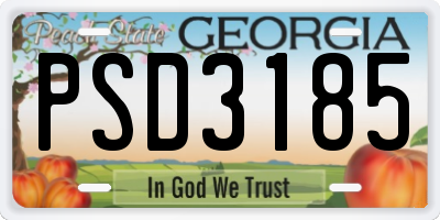 GA license plate PSD3185