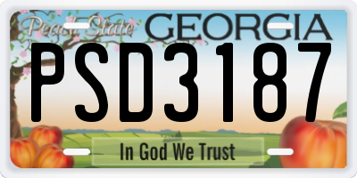 GA license plate PSD3187