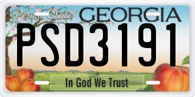 GA license plate PSD3191