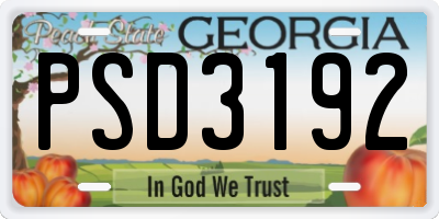 GA license plate PSD3192