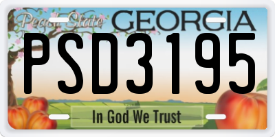 GA license plate PSD3195