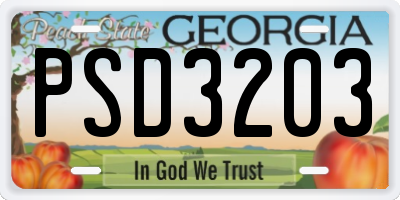 GA license plate PSD3203