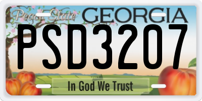 GA license plate PSD3207