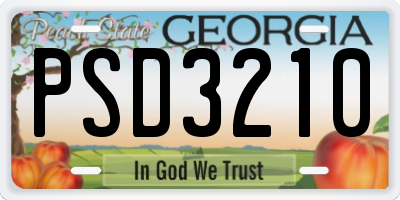 GA license plate PSD3210