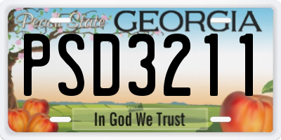 GA license plate PSD3211
