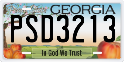 GA license plate PSD3213