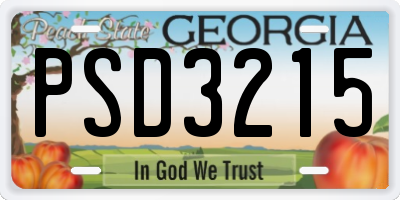 GA license plate PSD3215