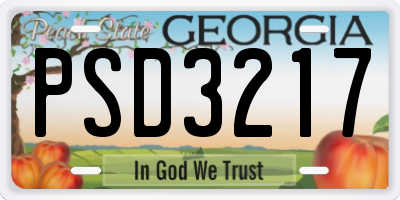 GA license plate PSD3217