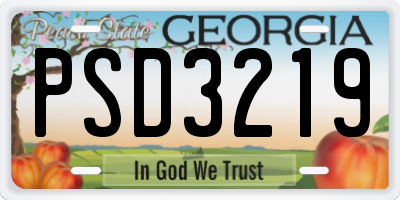 GA license plate PSD3219