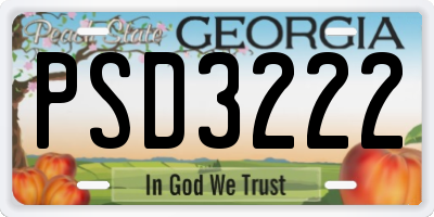 GA license plate PSD3222