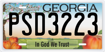 GA license plate PSD3223