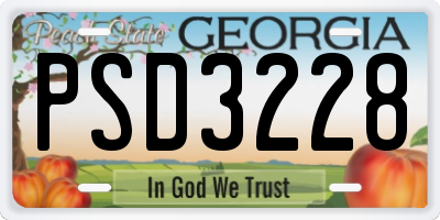 GA license plate PSD3228