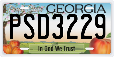 GA license plate PSD3229