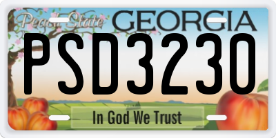 GA license plate PSD3230