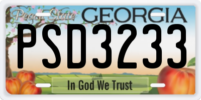 GA license plate PSD3233