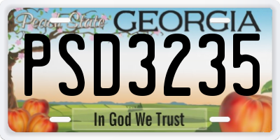 GA license plate PSD3235