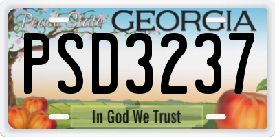 GA license plate PSD3237