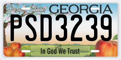 GA license plate PSD3239