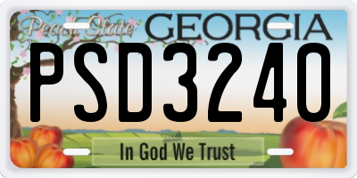 GA license plate PSD3240