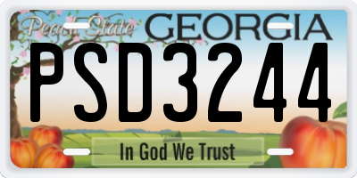 GA license plate PSD3244