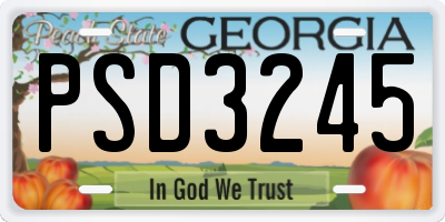 GA license plate PSD3245