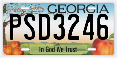 GA license plate PSD3246