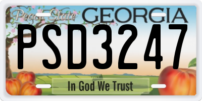 GA license plate PSD3247