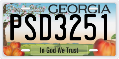 GA license plate PSD3251