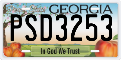 GA license plate PSD3253