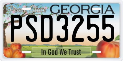 GA license plate PSD3255