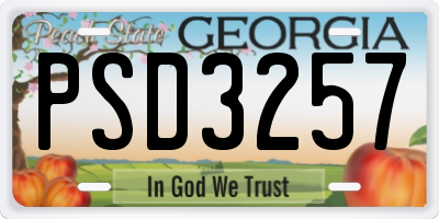 GA license plate PSD3257
