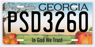 GA license plate PSD3260