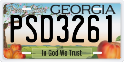 GA license plate PSD3261