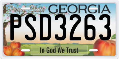 GA license plate PSD3263