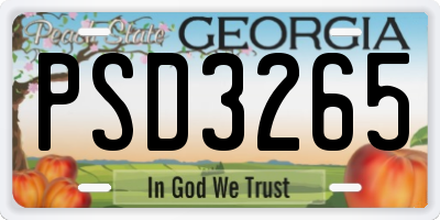 GA license plate PSD3265