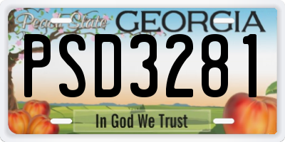 GA license plate PSD3281
