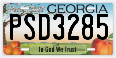 GA license plate PSD3285